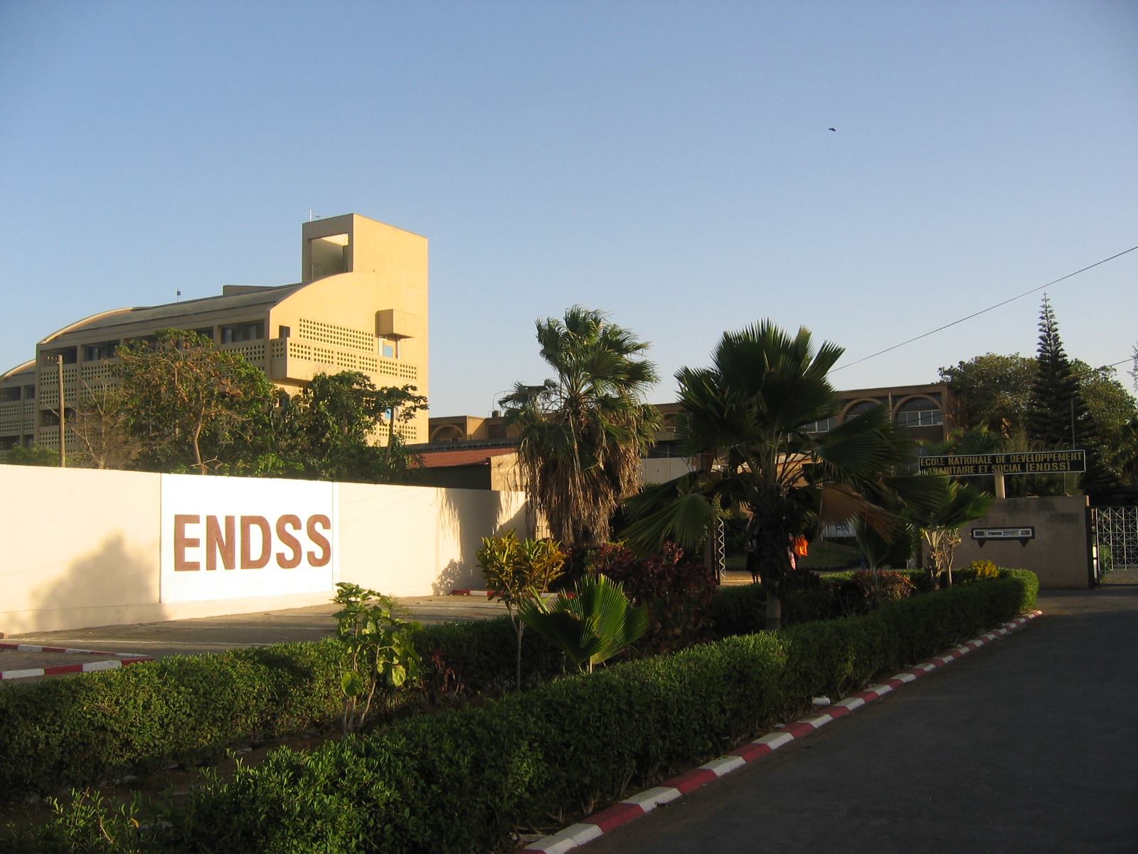 ENDSS